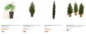 Home Depot website product page for pine trees