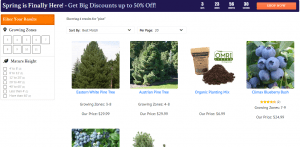 Brighter Blooms website product page for pine trees