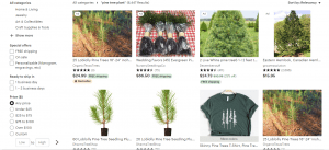 Etsy website product page for pine trees