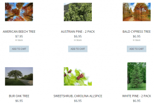 Fox River Valley Nursery website product page for pine trees