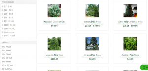 Gardens Goods Nursery website product page for pine trees