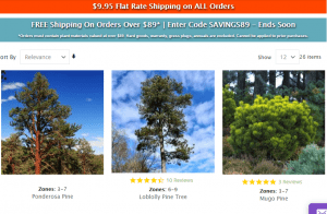 Nature Hills website product page for pine trees