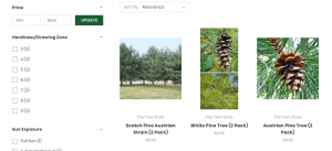 The Tree Store website product page for pine trees