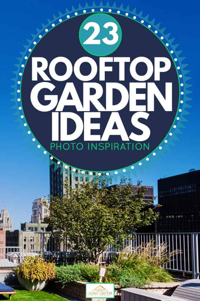 Roofing garden in the loop Downtown, Chicago, 23 Rooftop Garden Ideas [Photo Inspiration]