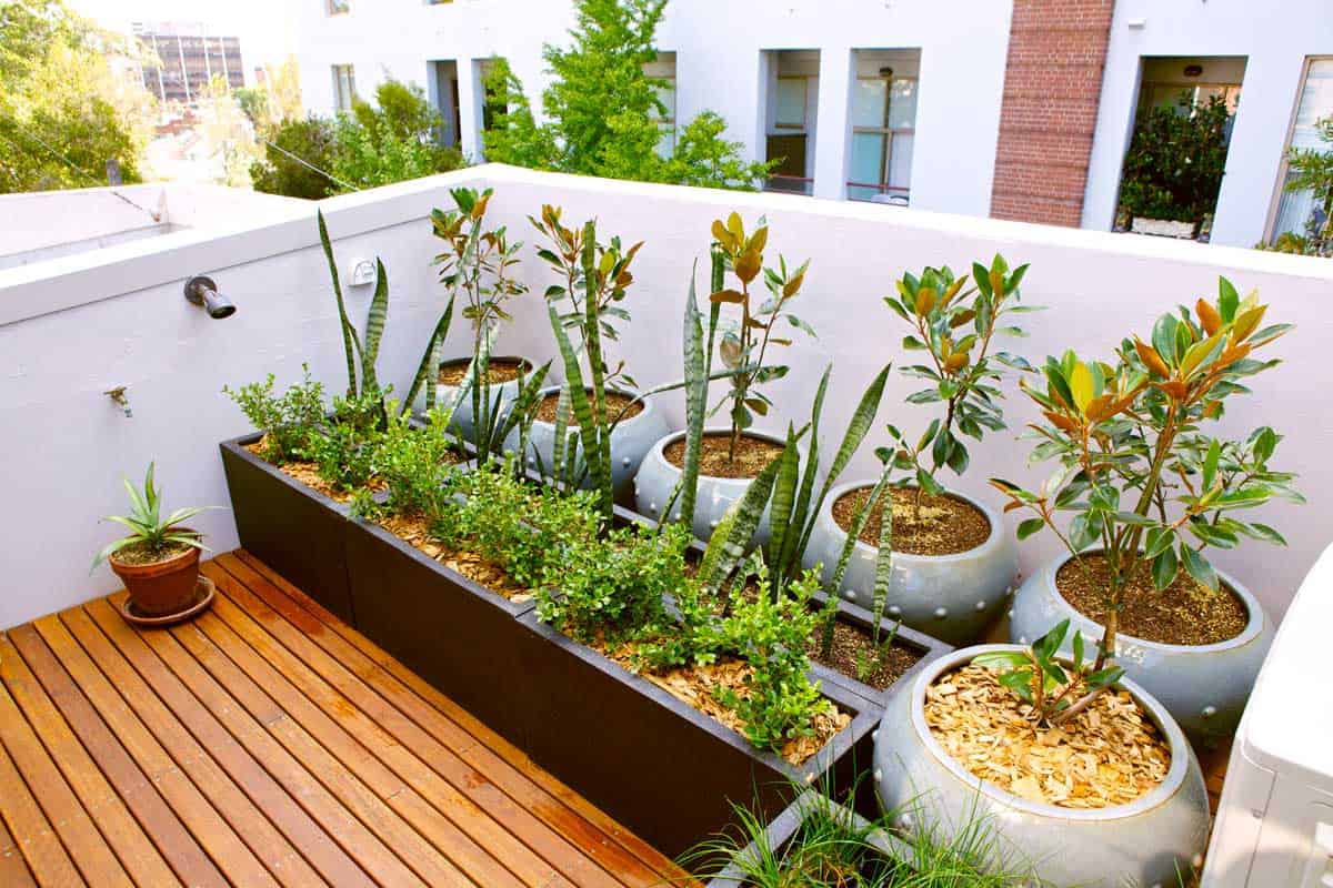 Urban roof terrace with plants.