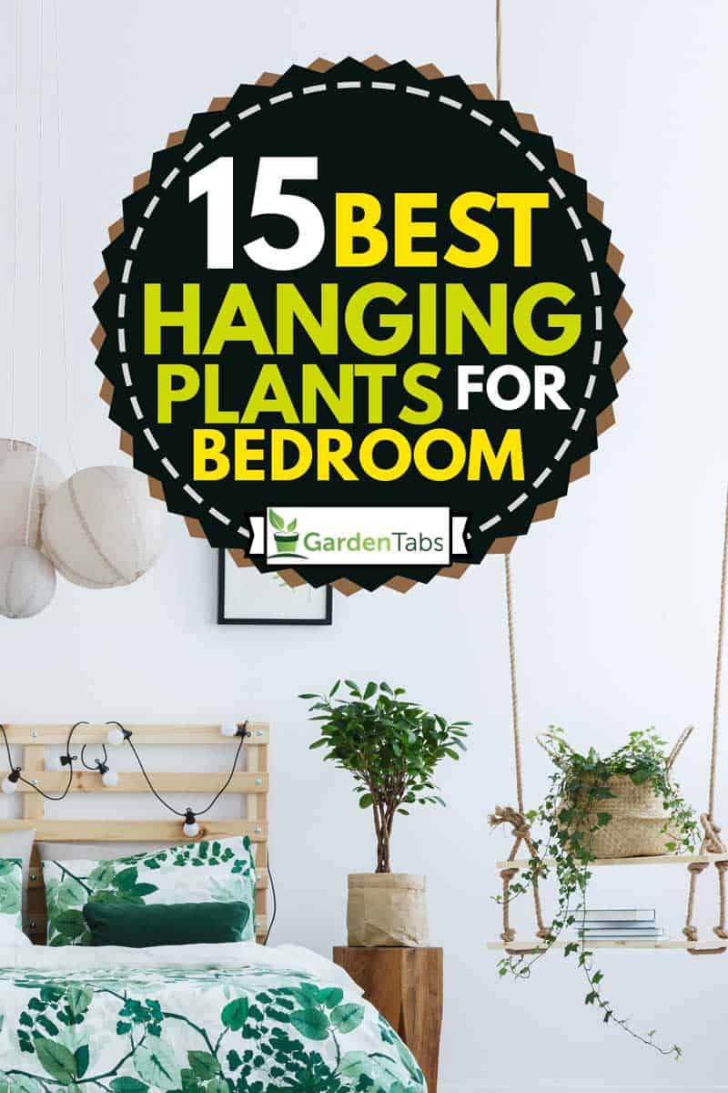garden theme bedroom with hanging plants, 15 Best Hanging Plants For Bedroom
