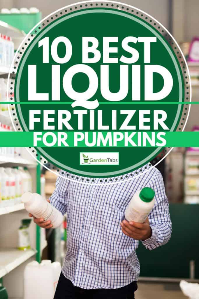 Farmer selecting liquid fertilizers, 10 Best Liquid Fertilizers for Pumpkins