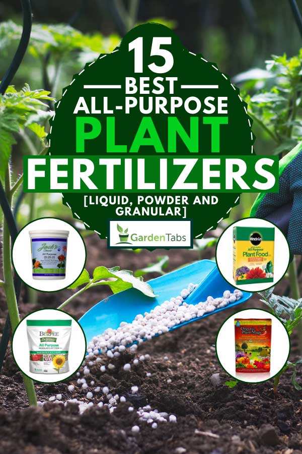 Collage of plant fertilizers with a farmer giving granulated fertilizer to young tomato plants on the background, 15 Best All-Purpose Plant Fertilizers [Liquid, Powder and Granular]