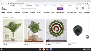 1-800 Flowers.com page showing palm trees for sale