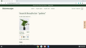 Bloomscape page showing palm trees for sale