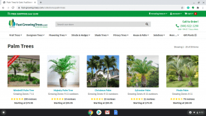 Fast Growing Trees page showing palm trees for sale