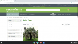 Nature Hills page showing palm trees for sale