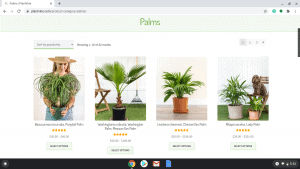 Plantvine page showing palm trees for sale