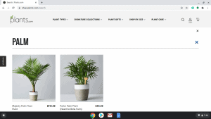 Plants.com page showing palm trees for sale