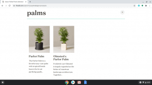 The Sill page showing palm trees for sale
