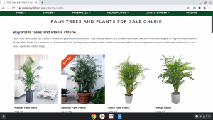 Woodies Garden Goods page showing palm trees for sale