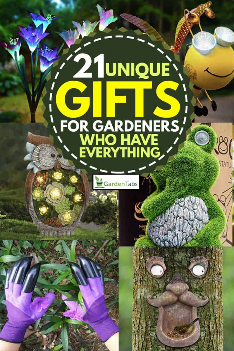 A collage of unique gifts for gardeners, 21 Unique Gifts For Gardeners Who Have Everything