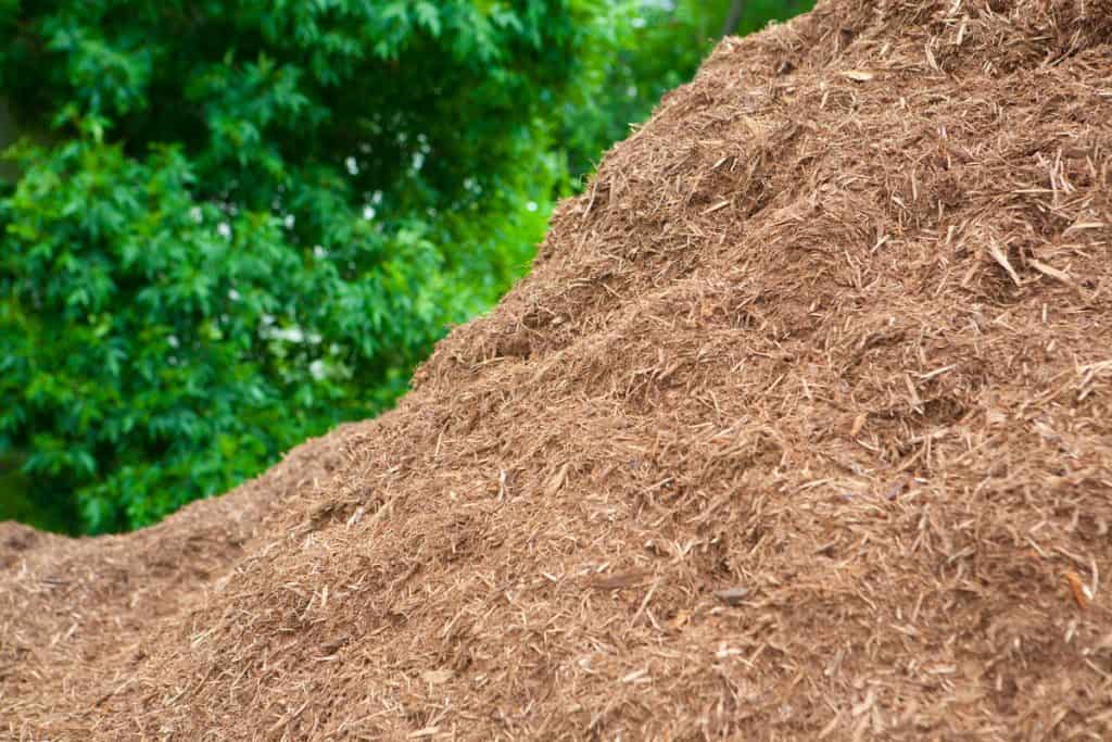 A premium pile of mulch perfect for your garden