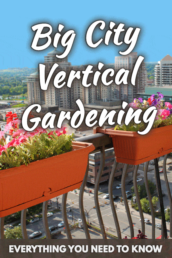 Big City Vertical Gardening: Everything You Need To Know