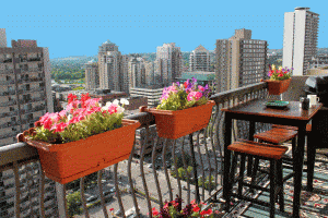 Read more about the article Big City Vertical Gardening: Everything You Need To Know
