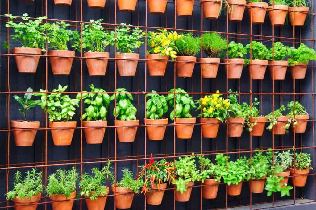 How To Easily Grow Food In Your Vertical Garden Garden Tabs