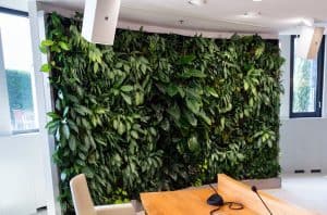 Read more about the article Do Vertical Gardens Damage Walls? [And How To Avoid That]