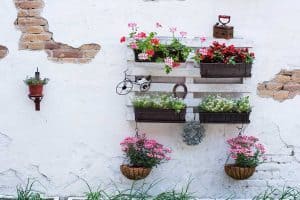 Read more about the article How Can I Use A Pallet For My Vertical Garden?