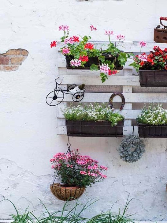 Can You Have A Vertical Garden Without Soil? - GardenTabs.com