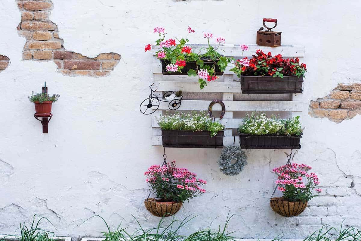 How Can I Use a Pallet for My Vertical Garden