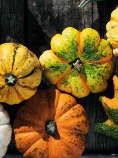 How to Grow Squash in a Vertical Garden