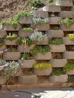 How to Integrate a Vertical Garden into a Retaining Wall
