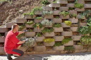 Read more about the article How To Integrate A Vertical Garden Into A Retaining Wall