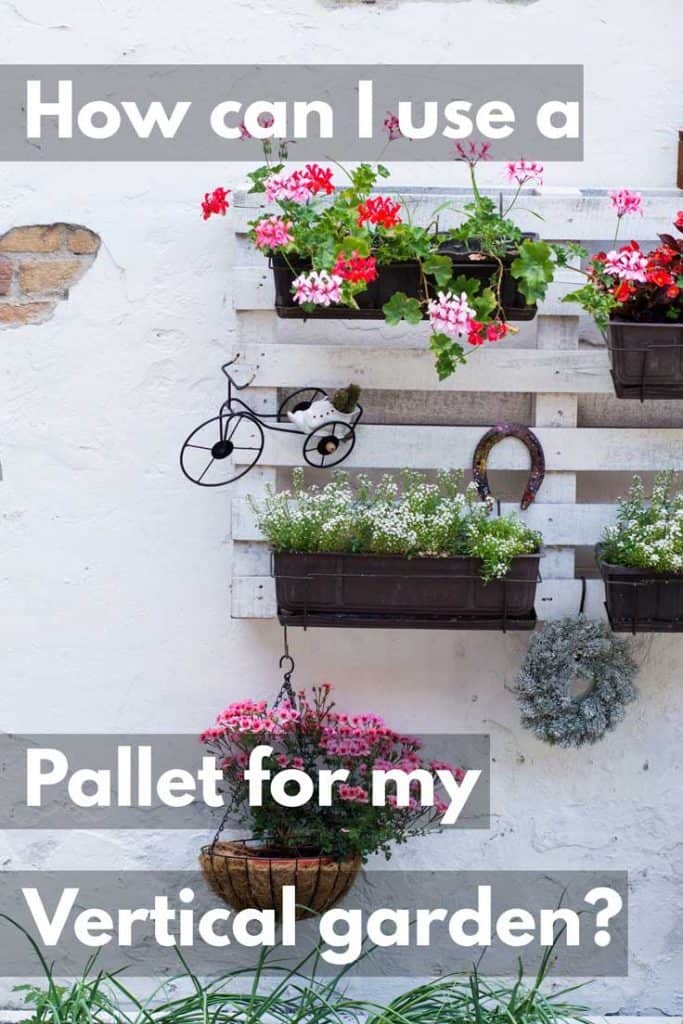How Can I Use a Pallet for My Vertical Garden?