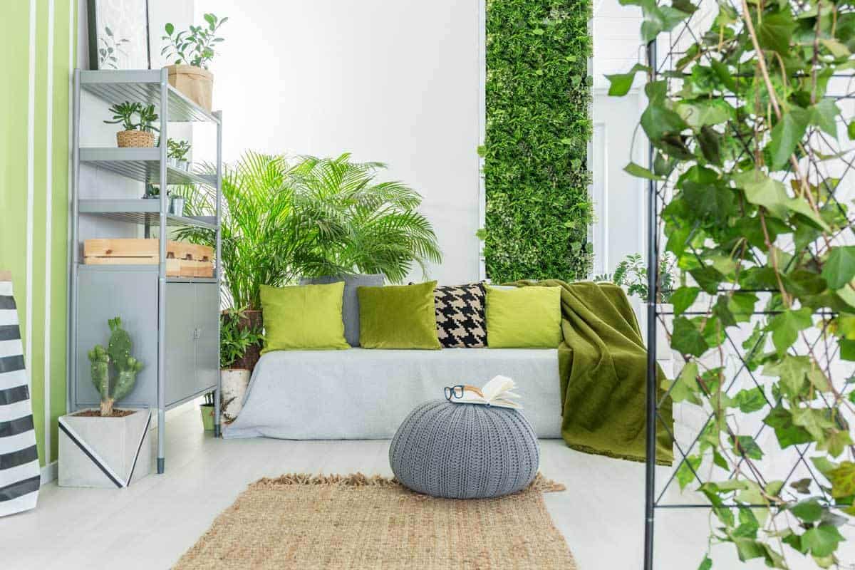 How to Build an Indoor Vertical Garden