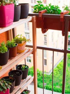 How to Make a Vertical Garden on a Balcony