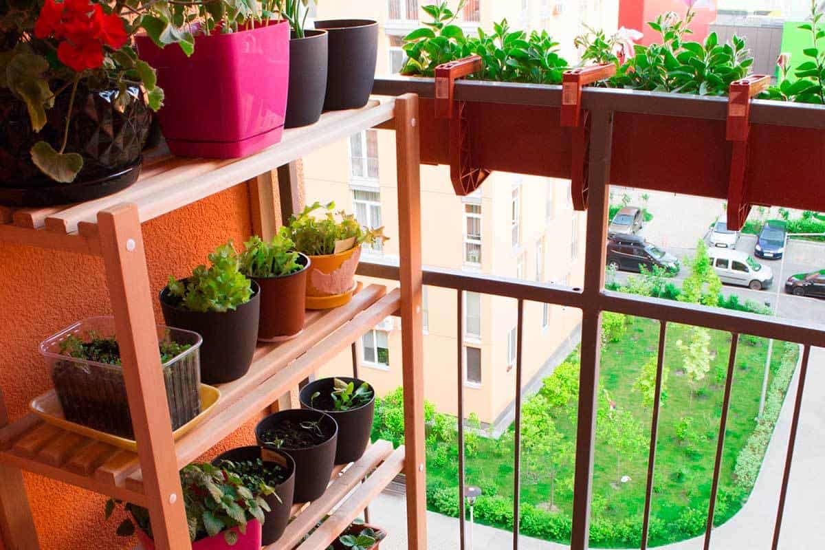 How to Make a Vertical Garden on a Balcony