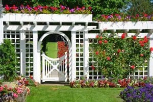 Read more about the article How To Use A Trellis For Vertical Gardening