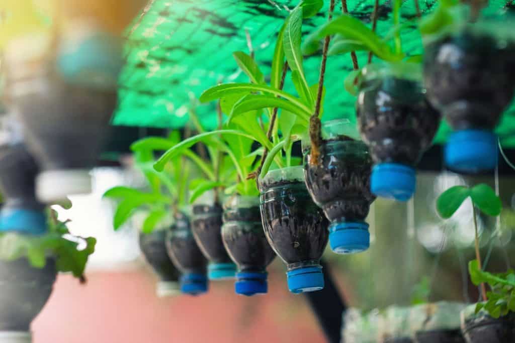 Vertical Garden From Plastic Bottles, How To Make A Hanging Garden From Plastic Bottles