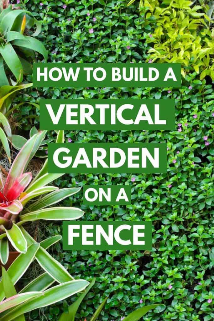 How to Build a Vertical Garden on a Fence