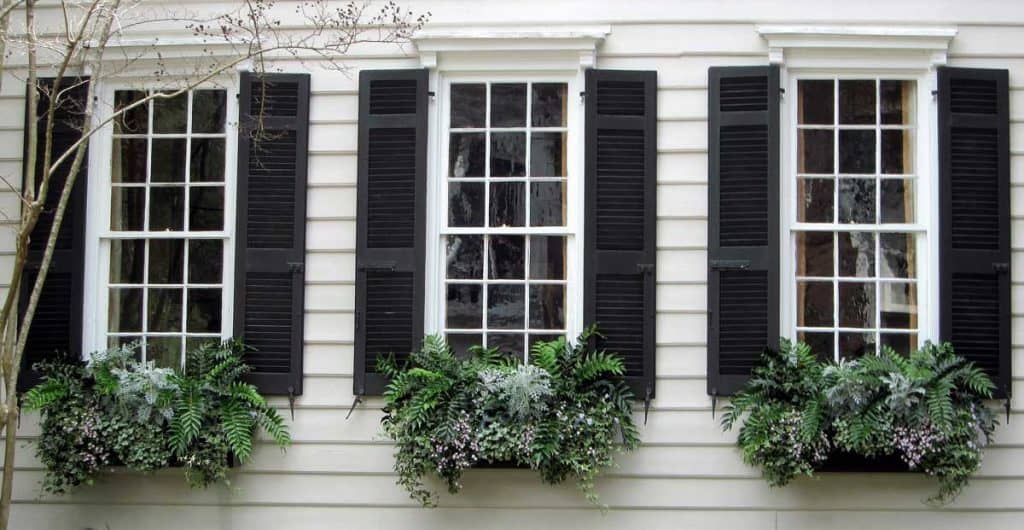 Window Boxes and Black Shutters