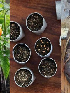 15 Ideas for Recycled Planters for Your Vertical Garden