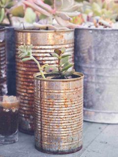 How to Make a Tin Can Vertical Garden