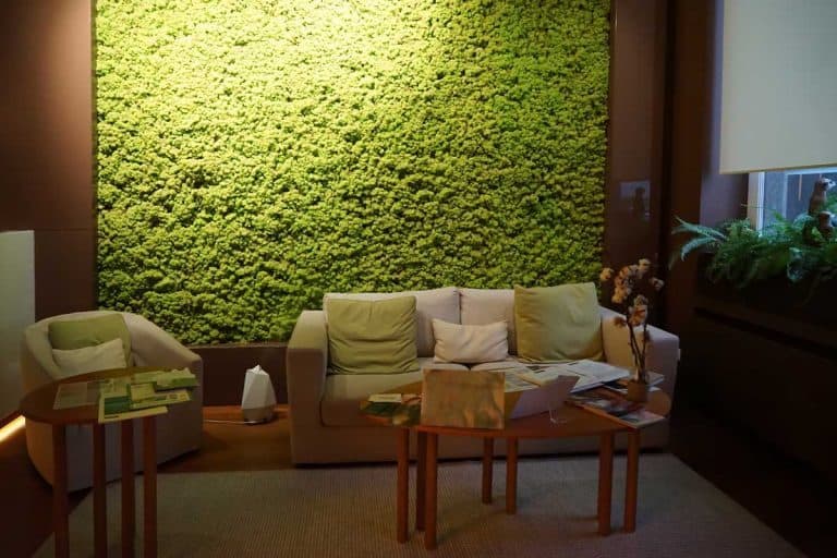 Modern green living room with moss wall, wooden coffee table and sofa set, What Is a Moss Wall (And You Can Create One in 5 Easy Steps)