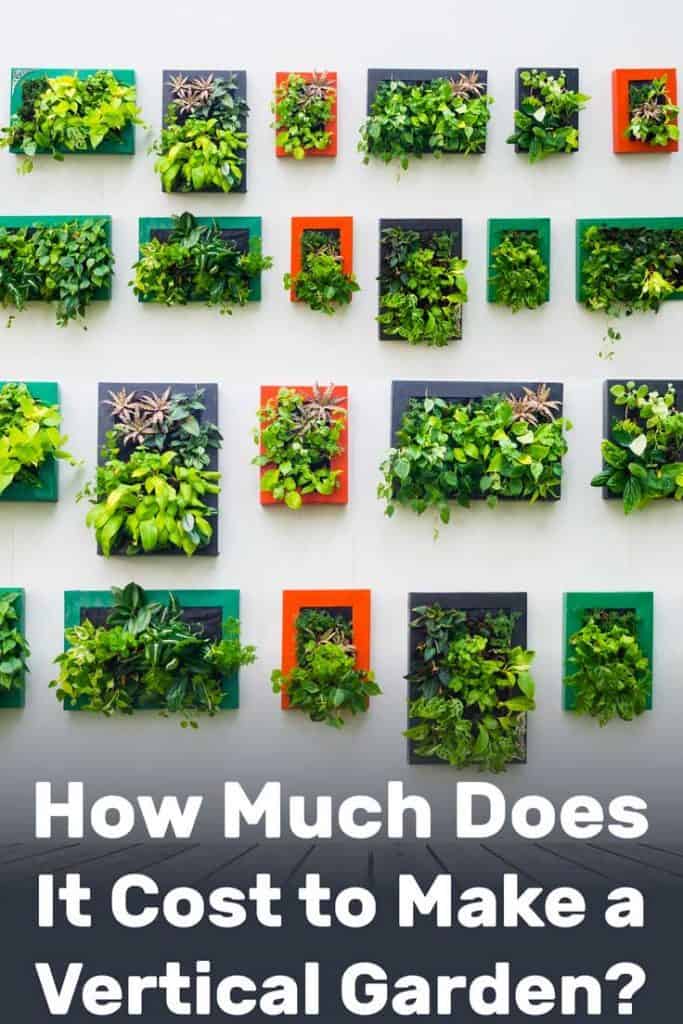 How Much Does It Cost to Make a Vertical Garden?