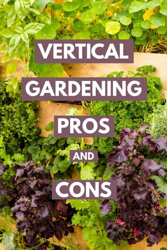 Vertical Gardening Pros and Cons