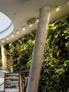 HomePlants23 Office Green Walls That Will Inspire You (Pictures Included!) 23 Office Green Walls That Will Inspire You (Pictures Included!)