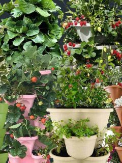 8 Stackable Planters That Can Form an Instant Vertical Garden