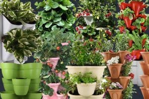 Read more about the article 8 Stackable Planters That Can Form an Instant Vertical Garden