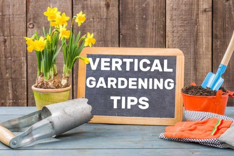 23 Vertical Gardening Tips That Will Take Your Green Wall To the Next Level
