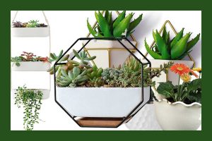 Read more about the article 21 White Hanging Planters That Will Look Great On Your Wall
